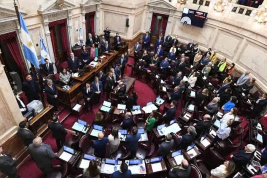 Tras el revés en el Senado, el oficialismo llama a una sesión especial por Ficha Limpia