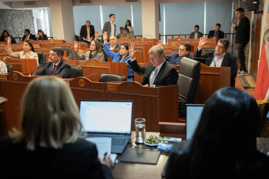 Diputados postergan el debate sobre la reforma a la Defensoría del Pueblo para el 18 de junio