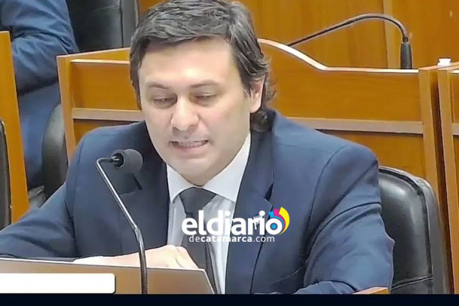 “Prefieren hablar por redes sociales antes que hacerlo en el recinto de sesiones”