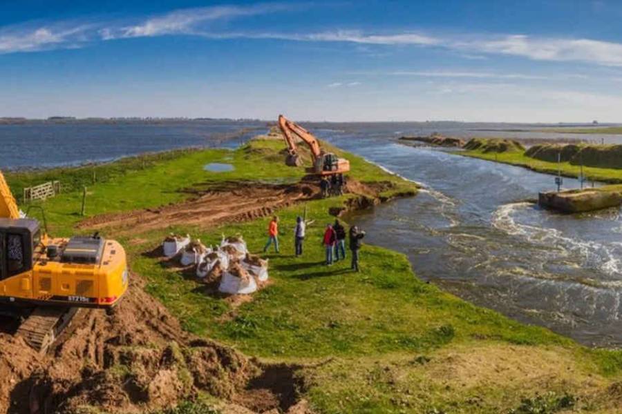 El campo denuncia que ya se perdieron USD 5.000 millones por la motosierra de Milei