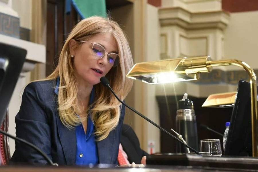 El Senado bonaerense aprobó las reelecciones indefinidas para legisladores