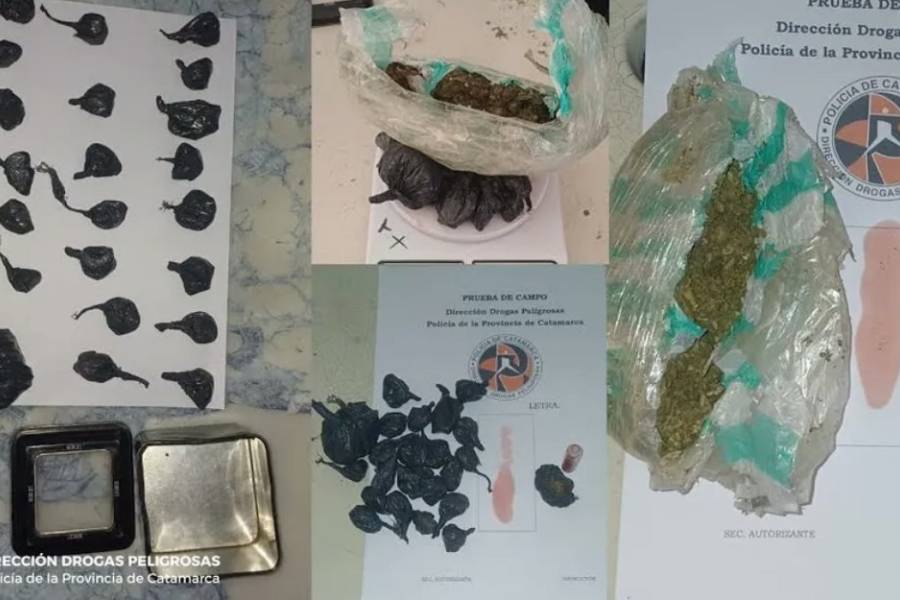 Secuestran marihuana y detienen a dos jóvenes en allanamientos en La Paz