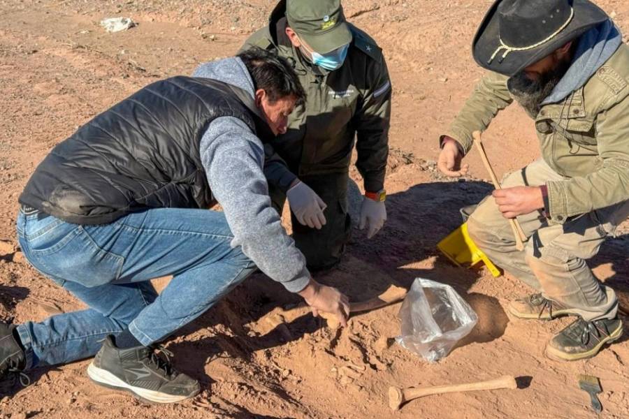 Hallan restos óseos y cerámicos durante trabajos de cartelería turística