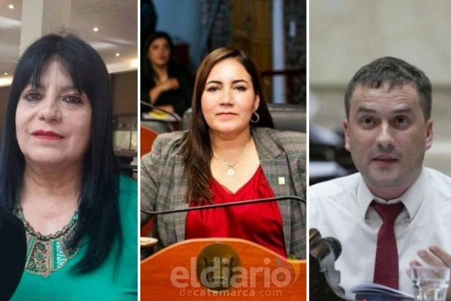 Crisis en la UCR catamarqueña: Clara Oliva exige la renuncia de los