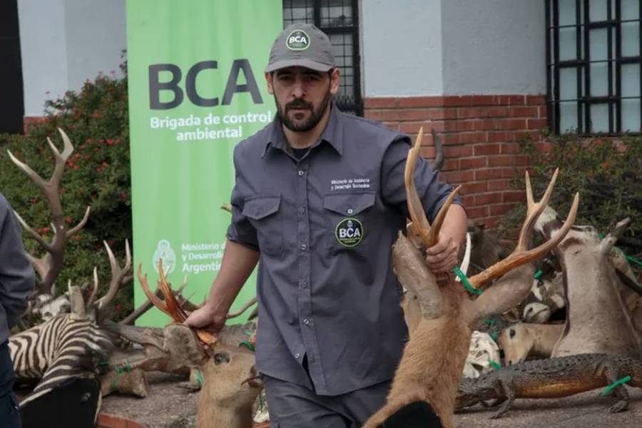 Un argentino que desmanteló una red de caza ilegal y tráfico de fauna recibirá un importante premio mundial
