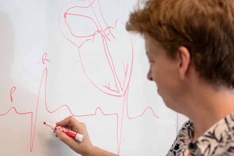 Importante hallazgo argentino permite el desarrollo de un marcapasos más avanzado