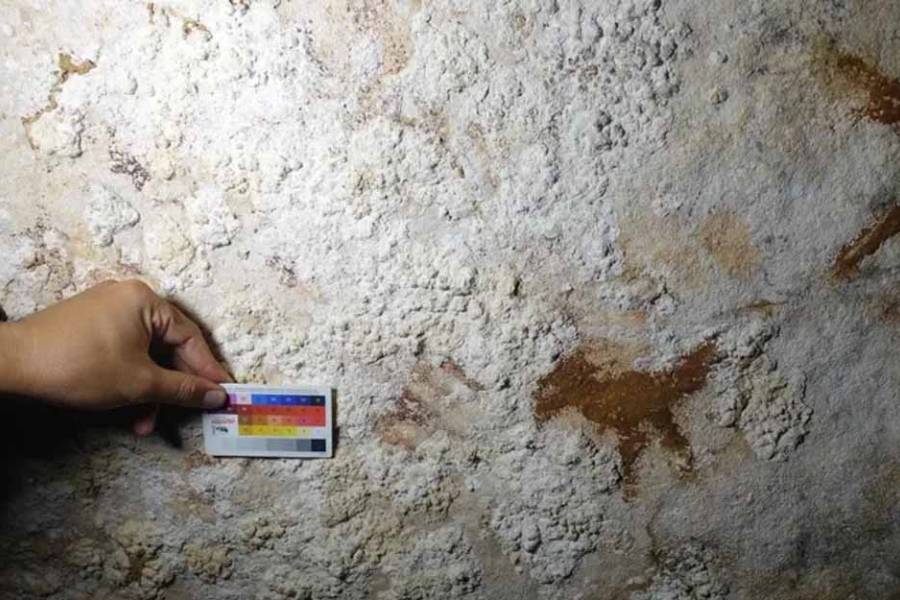 Un hallazgo en Indonesia reescribe el origen del arte humano moderno