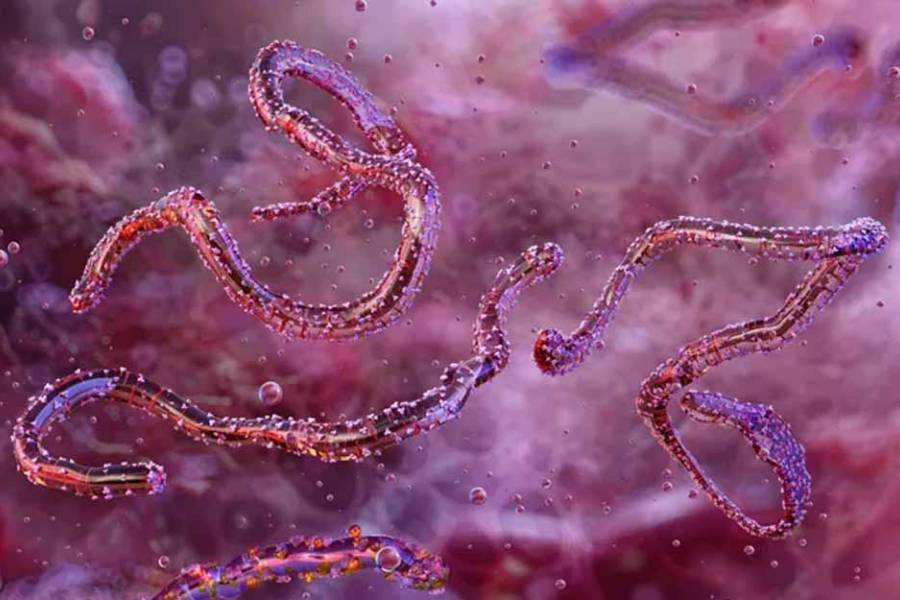 Investigación reveló que el coronavirus puede desaparecer, pero deja restos 