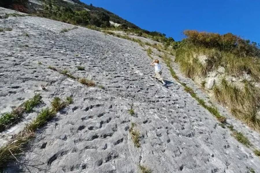 El descubrimiento de 80 millones de años en Italia que hizo un grupo de escaladores de casualidad