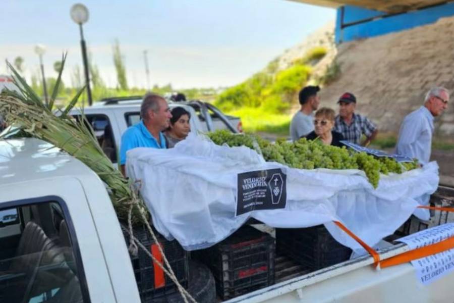 Ante la caída de consumo el gobierno asistirá a productores de uva