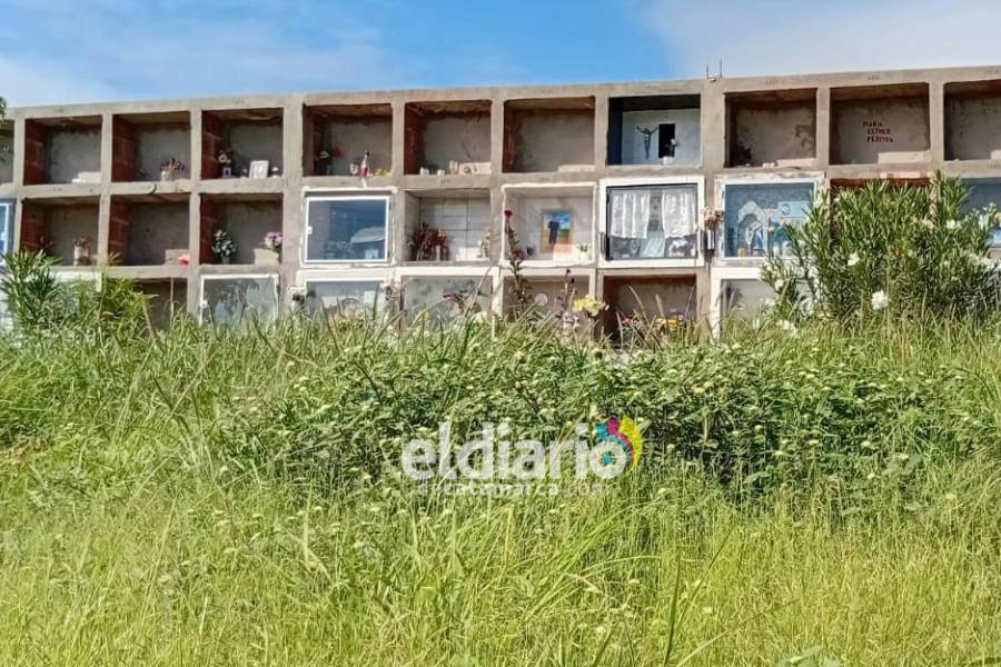 Quejas por la maleza en el cementerio capitalino