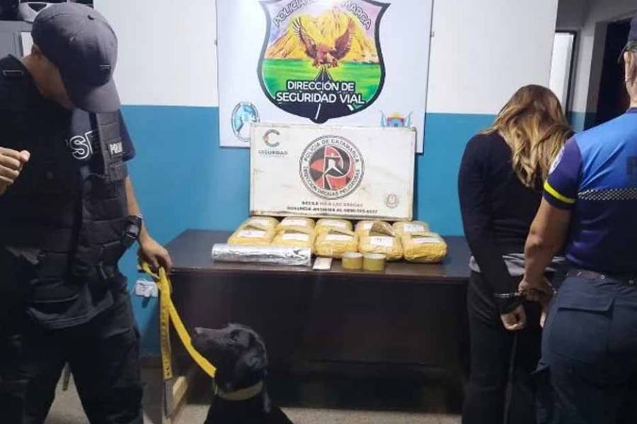 Ruta 38: Procedimiento antidrogas secuestró casi 12 kg de marihuana