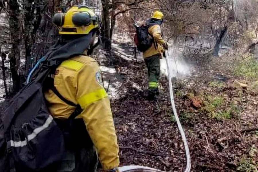 Chubut: la Justicia interviene por “intencionalidad manifiesta” en los últimos focos de incendio