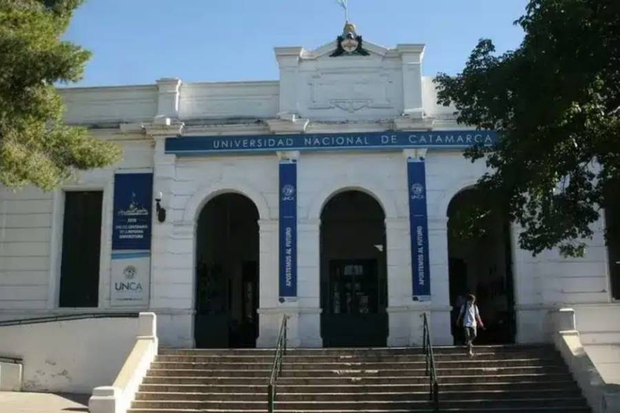 Docentes universitarios realizarán 15 días de paro