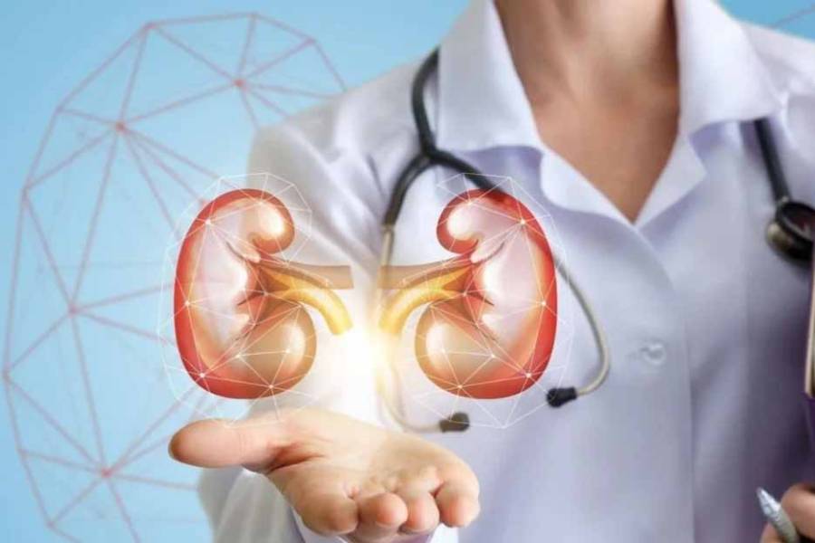 El 10% de la población argentina presenta alguna complicación renal