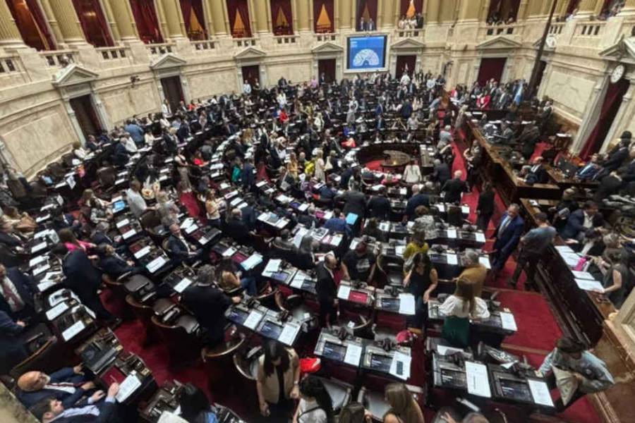 Diputados: exigen explicaciones al Gobierno por el aumento en la tasa de suicidios