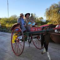 Multitudinario homenaje de los gauchos a la Virgen del Valle