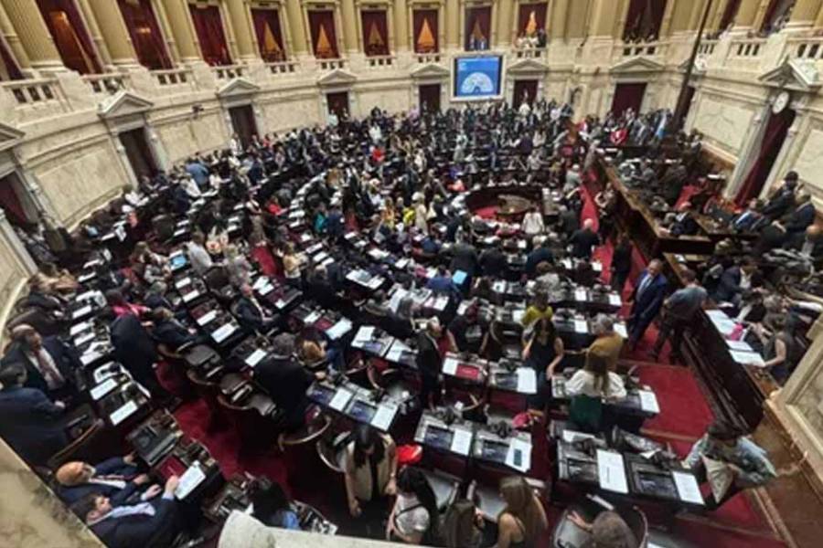Diputados: comienza el tratamiento de la Ley de Hojarasca, pero no habrá sesión esta semana