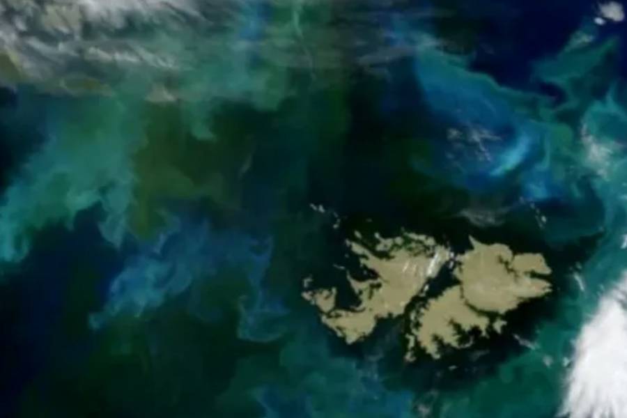 Reuters filtró un informe que asegura que Donald Trump retiraría su apoyo al Reino Unido por las Islas Malvinas