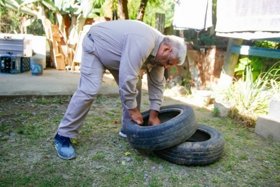 Tareas de prevención contra el mosquito Aedes Aegypti