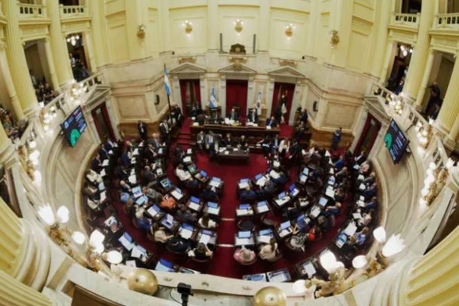 Senado debatirá la continuidad de Mahiques y proyectos sobre armas y fondos buitres