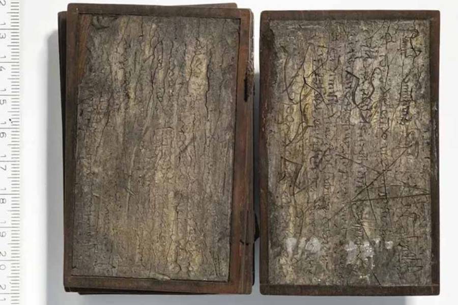 Más de 700 años: el hallazgo inesperado que arqueólogos hicieron en un pozo ciego de Alemania