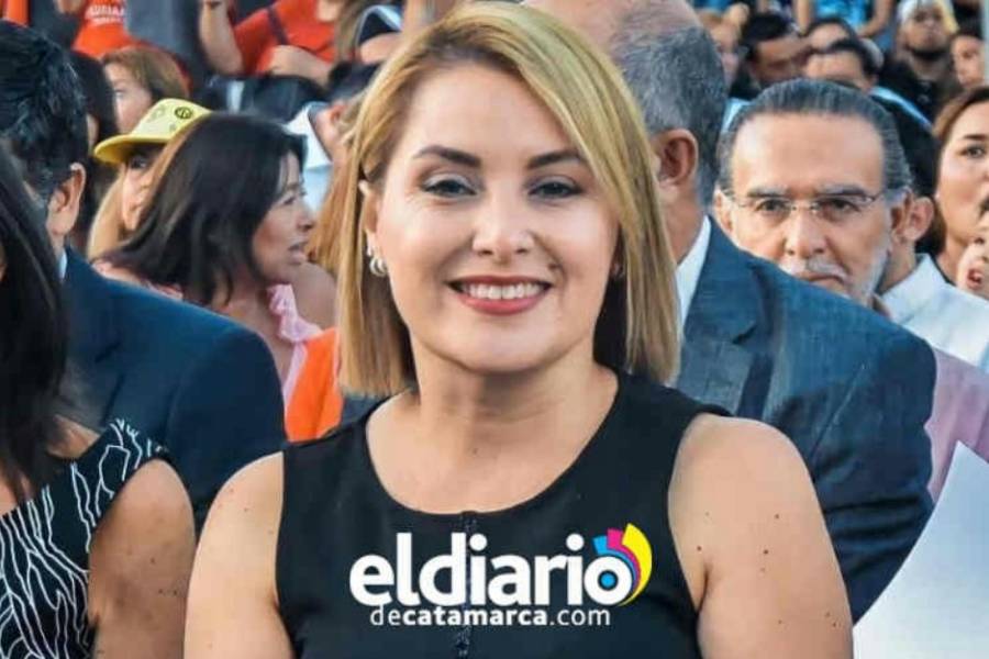 La Capital rechazará proyectos sobre gratuidad de estacionamiento en Fiesta del Poncho