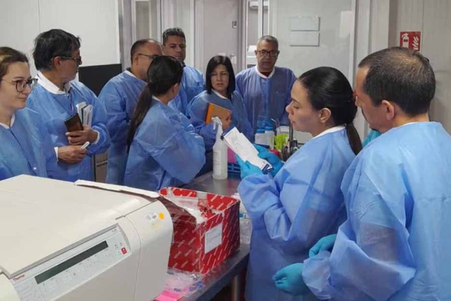 Fortalecen la vigilancia del hantavirus y otras fiebres hemorrágicas en las Américas