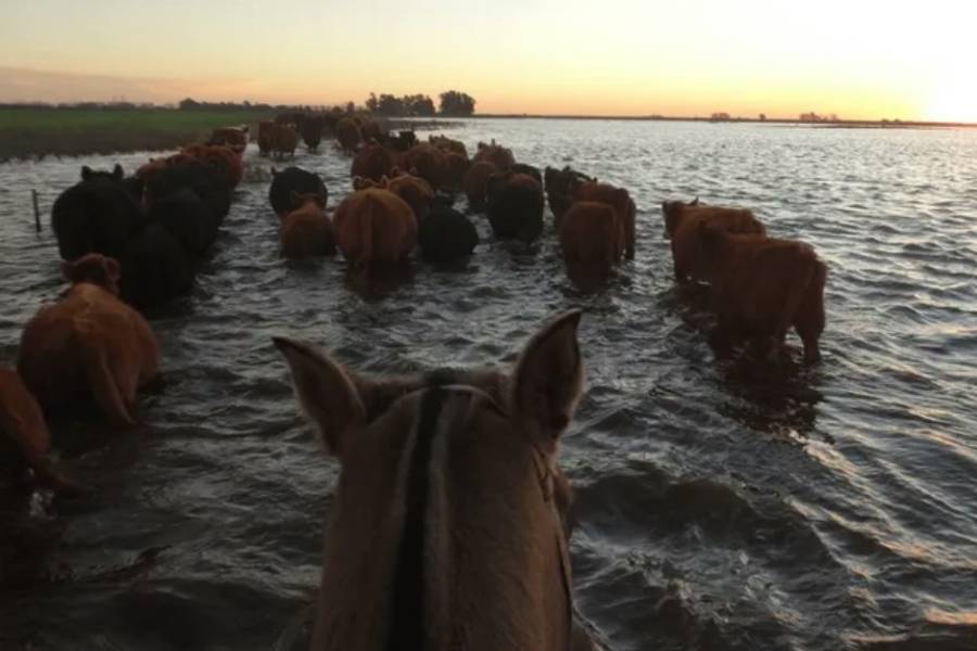 El Súper Niño acecha: Axel Kicillof e intendentes activan planes de contingencia, y la oposición exige respuestas