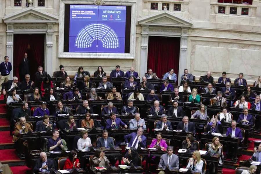 Diputados: la oposición logró aprobar su plan de trabajo sobre emergencia en Discapacidad y morosidad
