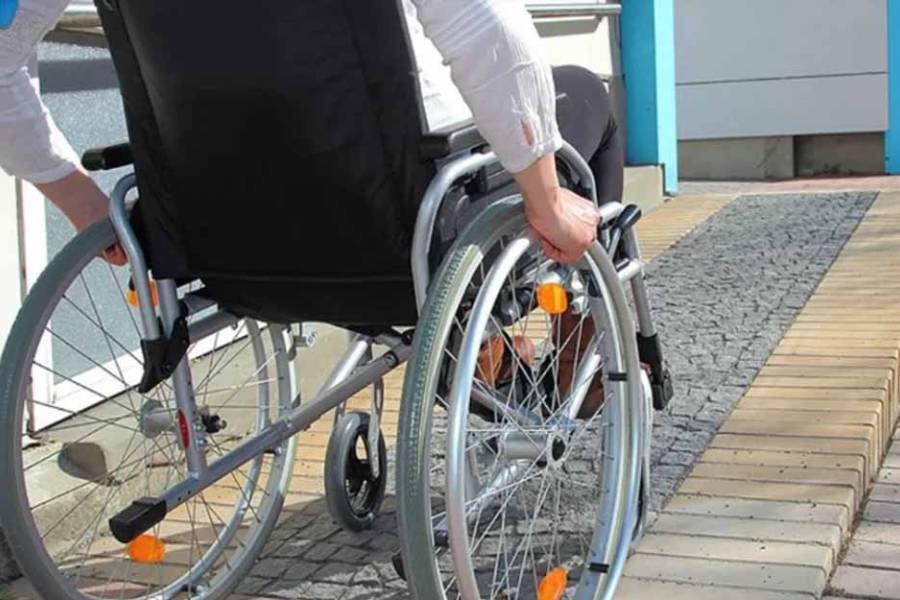 Fuerte polémica: los artículos de la ley de emergencia en Discapacidad que el Presupuesto deroga