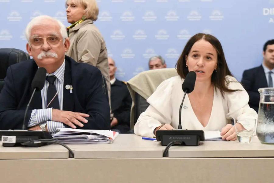 Sin consenso por Malvinas, el Gobierno se refugia en la Ley de Tierras ante el DNU 70/23
